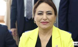 CHP’li Şevkin’den Bakan Kacır’a Çağrı “Hurda Teşvik Yasası’nı Bir An Önce Çıkarın!”