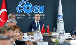 Vali Yavuz Selim Köşger, Ceyhan OSB’de İncelemelerde Bulundu