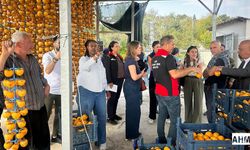 Adana’da IFAD Heyetinden Kırsal Kalkınma Projesine İnceleme Ziyareti