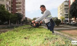 Yüreğir Belediyesi’nden Çim Biçme ve Bakım Çalışması