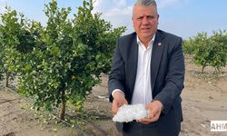 Ayhan Barut’tan Acil Destek Çağrısı "Üreticileri Dolu Vurdu"