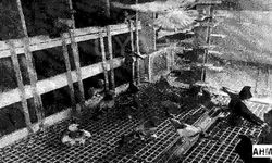 Güvercine Haciz Uygulandı!