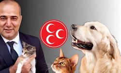 MHP Seyhan'dan İlginç Çağrı!