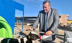 Gürer “İnekten Sütü Sağan Mutsuz”