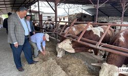 CHP’li Gürer “Asgari Ücret Cebe Girmeden Et Fiyatı Arttı”