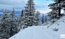 Pozantı ve Akçatekir’de Kar Yağışı Etkili Oldu
