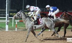 Pozantı Belediye Başkanlığı Koşusunu Kocaefe Kazandı