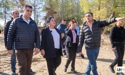 Seyhan Belediyesi’nden Can Dostlara Özgür Yaşam Alanı