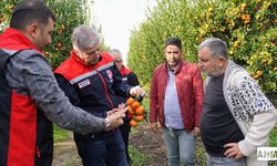İl Tarım Müdürü Bayazıt’tan Dolu Zararının Görüldüğü Tarım Alanlarında İnceleme