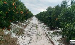 Başkan Karataş’tan Dolu Felaketinden Etkilenen Üreticilere Geçmiş Olsun Mesajı
