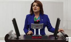 CHP’li Gülcan Kış "AKP 2025’te Bütçeyi Deldi, 2026’ya yüzde 35 Zamla Giriyor"