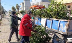 Karataş’ta Temizlik Seferberliği: Başkan Ali Bedrettin Karataş’tan Çevre Vurgusu