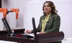 Kuzey Adana Yalnız Değil!