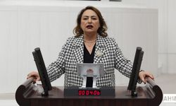 Müzeyyen Şevkin “Adana, İstiklâl Madalyası’nı Bekliyor”