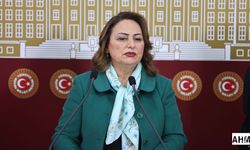 Jeoloji ve Jeofizik Mühendisliği Mesleği Tehdit Altında!