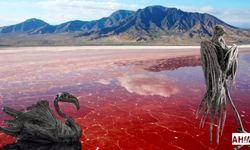 Dünyanın En Ölümcül Noktaları: Güzelliğin Ardındaki Sessiz Tehlike