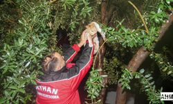 Seyhan Belediyesi Ekipleri Gece Boyunca Görevdeydi