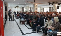 Adana’da Ayçiçeği Üretimine Bilimsel Destek