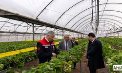 İl Müdürü Bayazıt’tan Narenciye İşletmesine Ziyaret