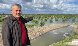 Ayhan Barut "Çiftçiye İhmal ve Plansızlık Darbesi"