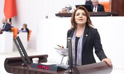 CHP’li Gülcan Kış "Faize 228 Milyar Dolar Bulundu, Emekliye 28 Bin Lira Çok Görüldü"