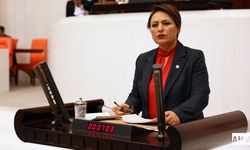 Çiftçilerin Mağduriyeti TBMM Gündeminde