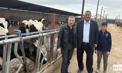 Gürer “Köyler Değişiyor, Hayvancılıkta Dertler Aynı”