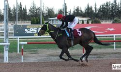 Atlar TSYD İçin Koştu