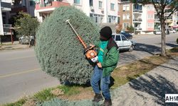 Ceyhan Belediyesi Park ve Bahçeler Müdürlüğü’nden İlçe Genelinde Yoğun Mesai