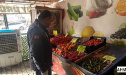 Yumurtalık’ta Gıda İşletmelerine Sıkı Denetim