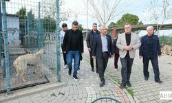 “Yeme Ya Da Saldırı Değil, Davranış Gereği”