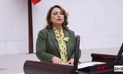 Diş Hekimlerinin istihdam Krizi Meclise Taşındı