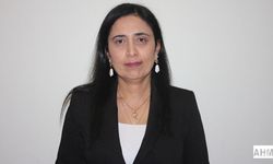 "2025 Yılında 203 Kadın Aile Üyeleri Tarafından Öldürüldü"