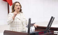 Müzeyyen Şevkin “Mülkiyet Hakkı İçin Meclis Harekete Geçmeli”