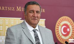 Gürer “Yeşil Erik Gram Altını Solladı”