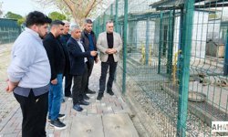 Görüntüler Yanlış Yorumlanıyor: "Bu Davranış ‘Yeme’ Değil”