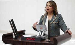 Müzeyyen Şevkin Adana'nın Sorunları İçin Meclis'te Soru Önergesi Verdi