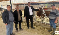 CHP'li Gürer “Artan Maliyetler Süt Üreticisini Bitiriyor”