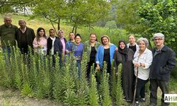 "Ak Zambaklar" Gelişiyor Kadınlar Güçleniyor