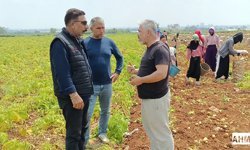Anahtar Parti Sahada: Adana Çiftçisinin Sorununa Neşter!