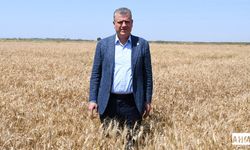 Ayhan Barut "Sarı Altında Alım Fiyatı Peşin 20 Lira Üstünde Olmalı"