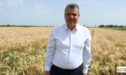 Ayhan Barut’tan Buğdayda Alım Fiyatı Çağrısı