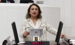 CHP’li Dr. Müzeyyen Şevkin’den Sağlık Bakanı Kemal Memişoğlu’na Kritik Soru Önergesi