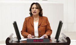 Müzeyyen Şevkin “Deprem Ülkesinde Bilimi Cezalandırıyorsunuz”