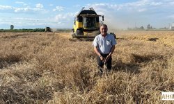 Çiftçiden Hükümete Mesaj "Buğdayda Belirsizlik Bitsin"