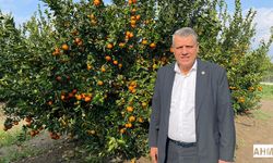 Ayhan Barut’tan Tarımsal Üretim ve Çiftçiye Acil Destek Çağrısı
