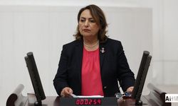 Müzeyyen Şevkin “Türkiye Tarımı, Tarihinin En Ağır Krizlerinden Birini Yaşıyor”