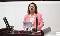 TBMM kürsüsünden Adana Çağrısı!