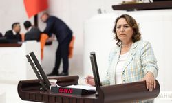 CHP'li Dr. Müzeyyen Şevkin TBMM'de iktidara yüklendi
