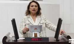 Müzeyyen Şevkin, TBMM'de NATO Zirvesi Öncesi Yaşananlara Tepki Gösterdi